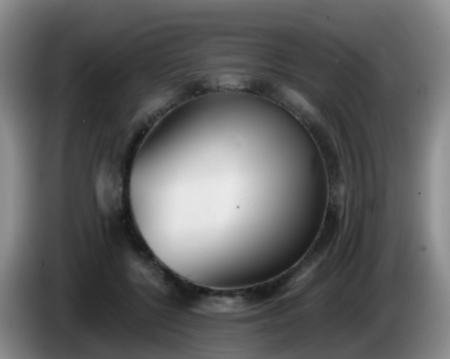 X0000085080552200703121705