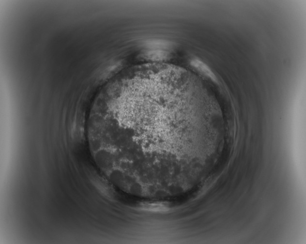 X0000085080553200703121705