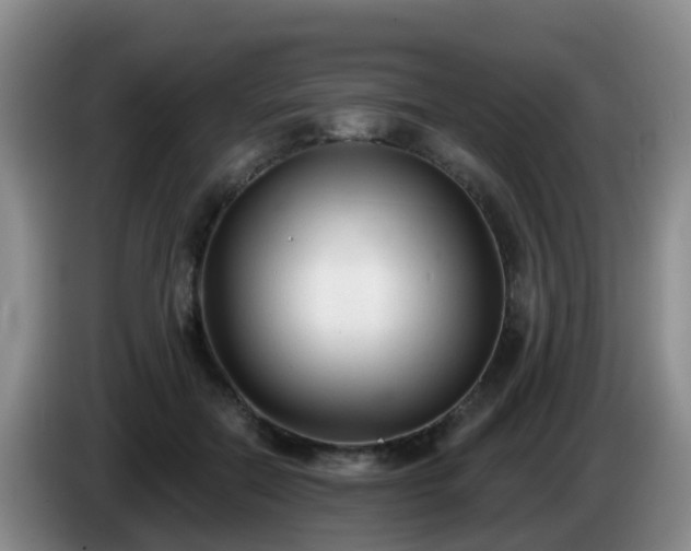 X0000085080554200703121705