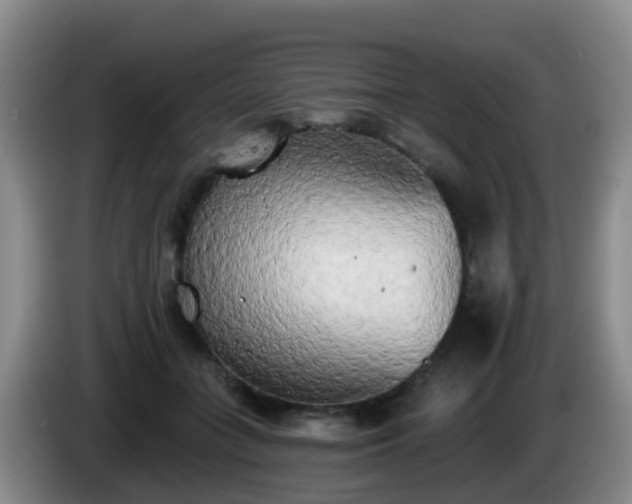 X0000085080555200703121705