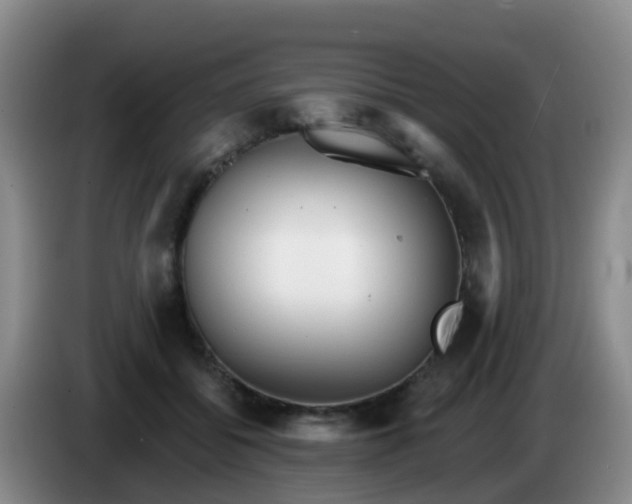 X0000085080556200703121705