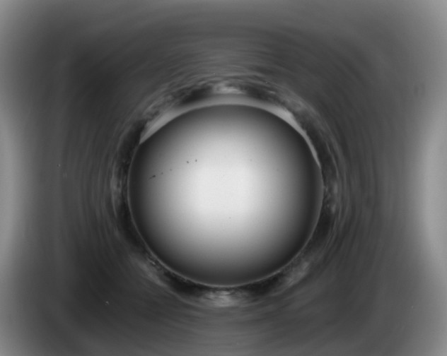 X0000085080558200703121705