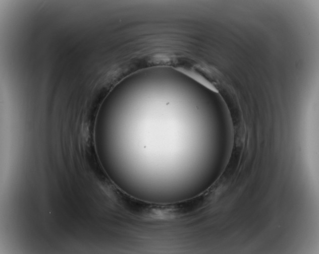 X0000085080560200703121705