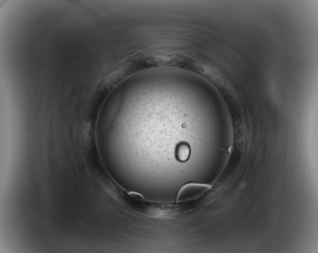 X0000085080563200703121705