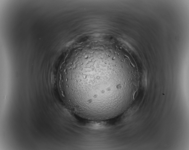 X0000085080569200703121705