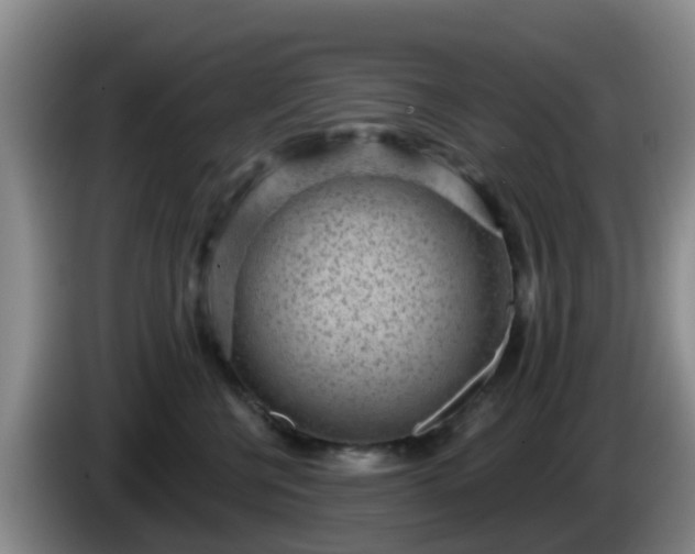 X0000085080570200703121705