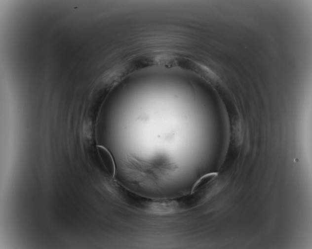 X0000085080571200703121705