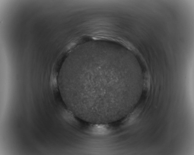 X0000085080573200703121705