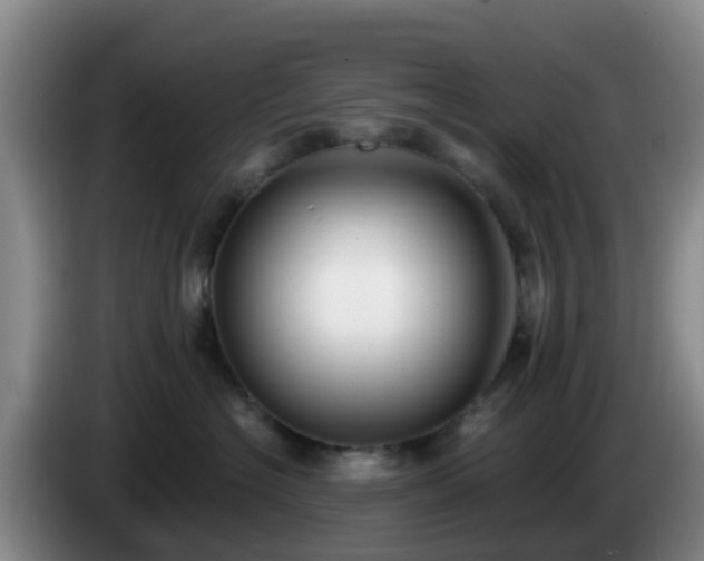 X0000085080574200703121705