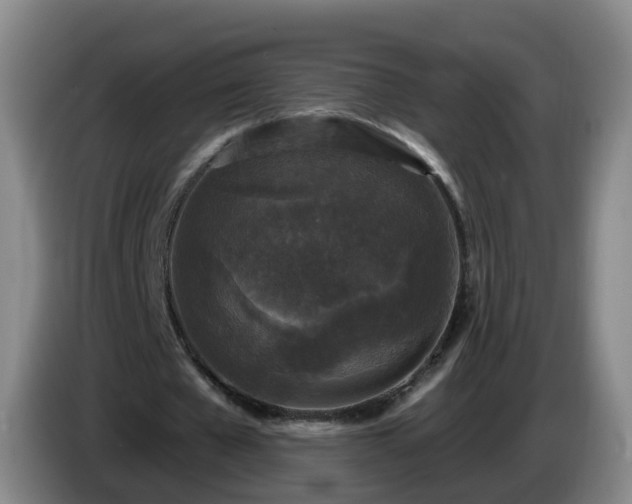 X0000085080577200703121705