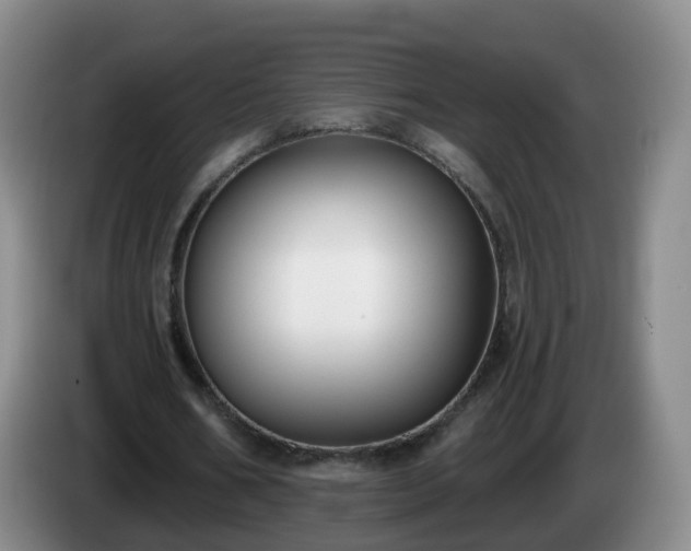 X0000085080578200703121705