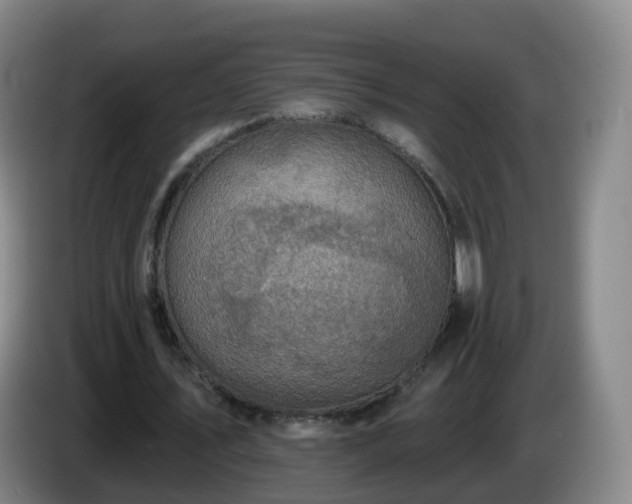 X0000085080579200703121705