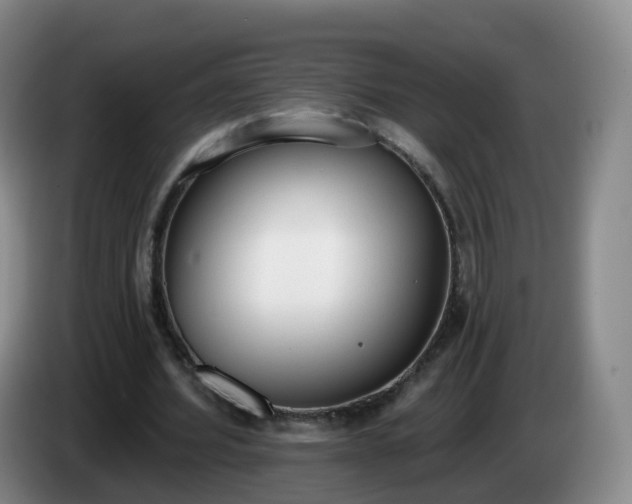 X0000085080580200703121705