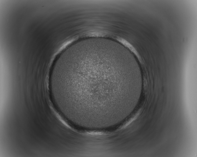 X0000085080581200703121705