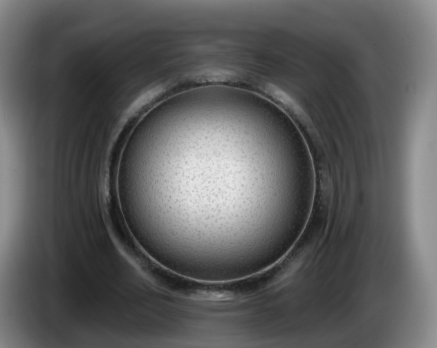 X0000085080582200703121705