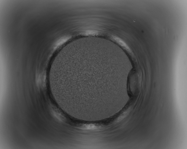 X0000085080588200703121705