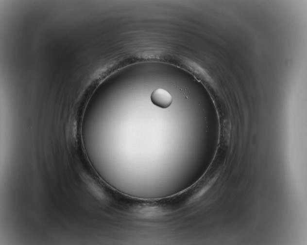 X0000085080589200703121705