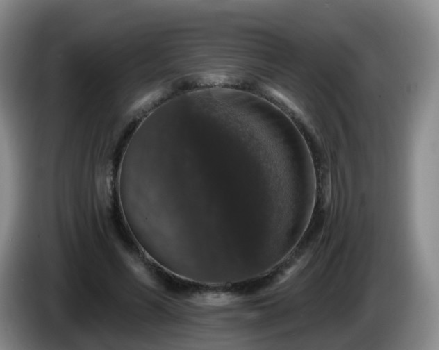 X0000085080590200703121705