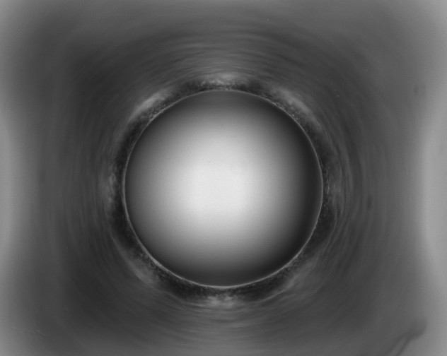 X0000085080591200703121705