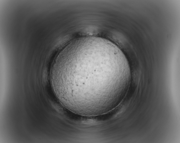 X0000085080594200703121705