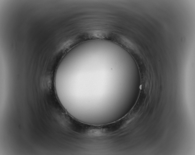 X0000085080595200703121705