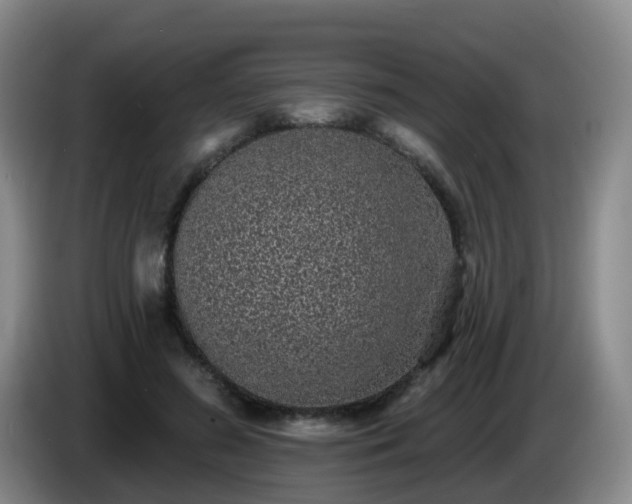 X0000085080596200703121705