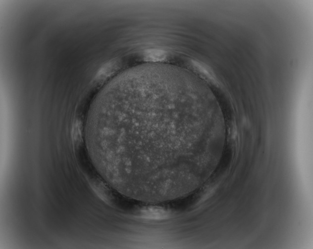 X0000085080598200703121705