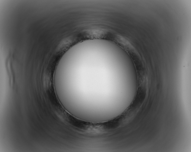 X0000085080599200703121705