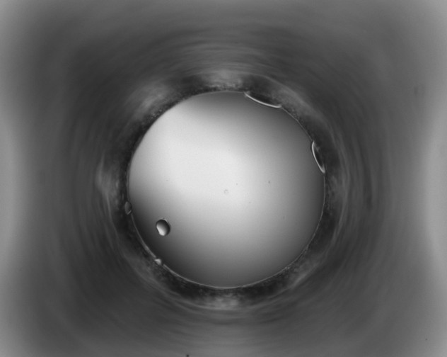 X0000085080600200703121705