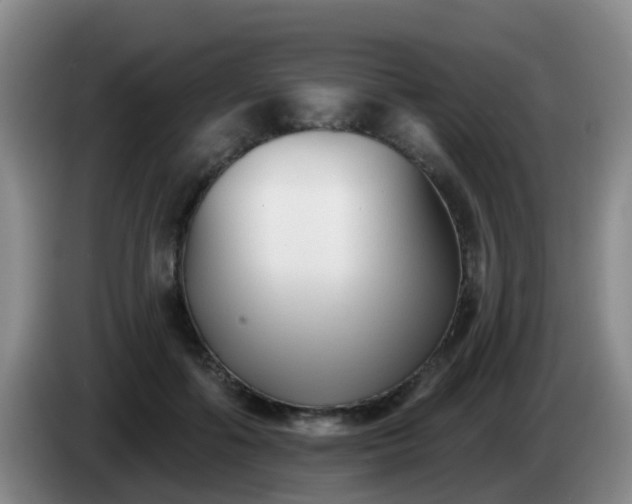 X0000085080602200703121704