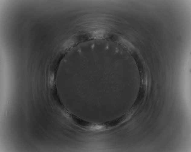 X0000085080610200703121704