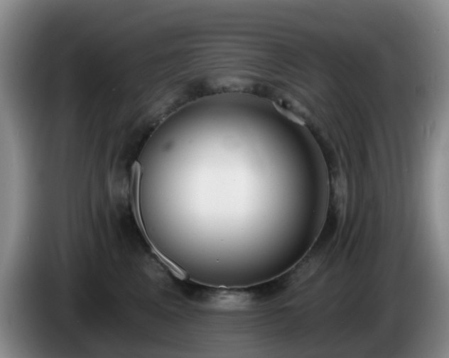 X0000085080617200703121704