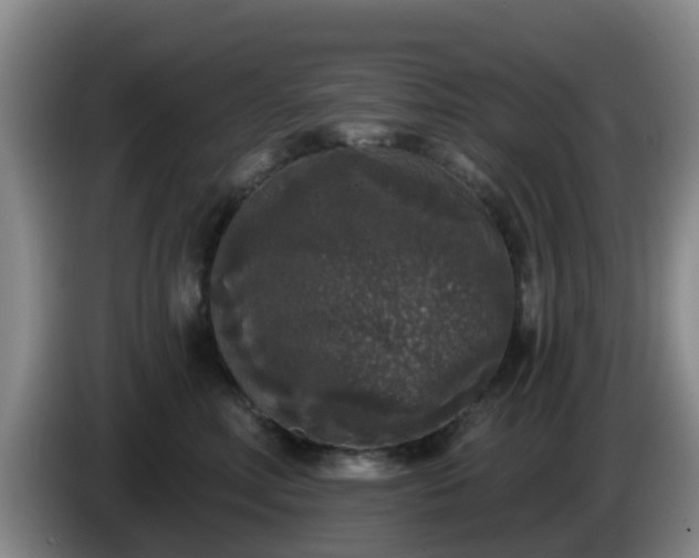 X0000085080618200703121704