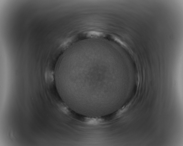 X0000085080621200703121704