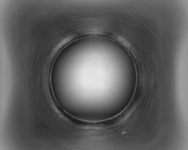 X0000085080625200703121704