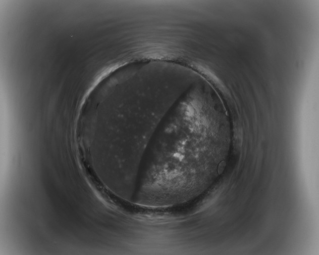 X0000085080626200703121704