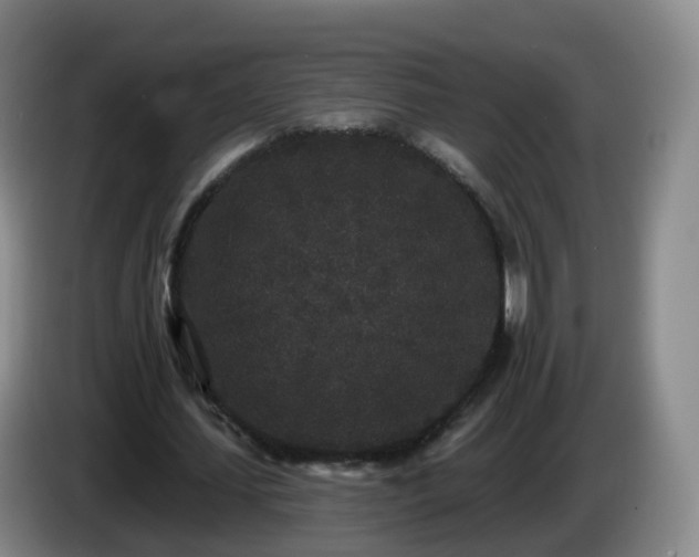 X0000085080627200703121704