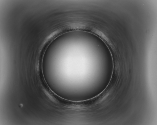 X0000085080629200703121704