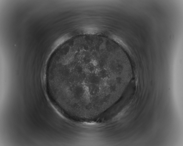 X0000085080630200703121704