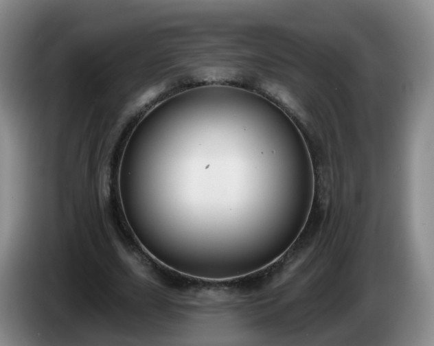 X0000085080631200703121704