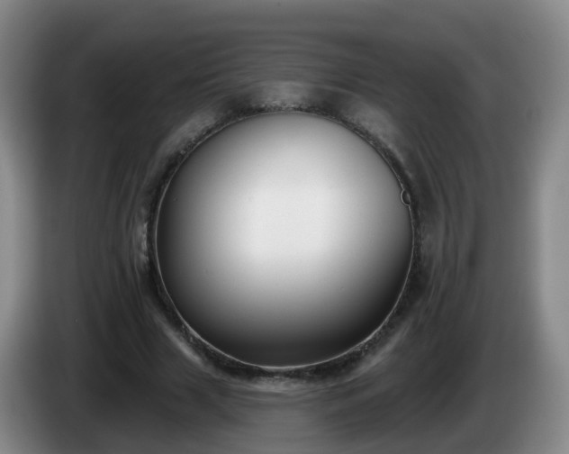 X0000085080633200703121704