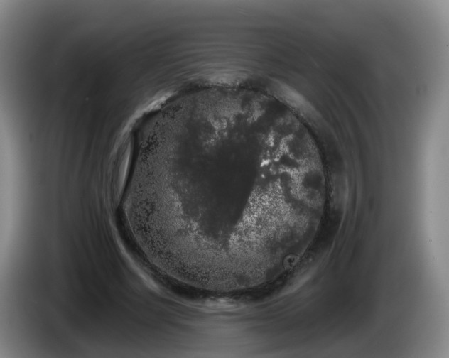 X0000085080634200703121704