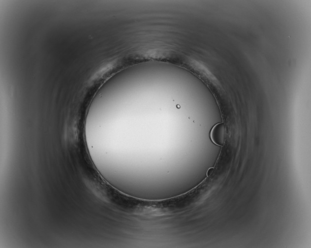 X0000085080635200703121704