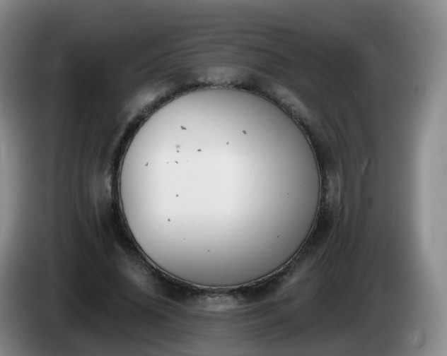 X0000085080636200703121704