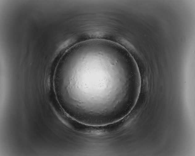 X0000085080638200703121704