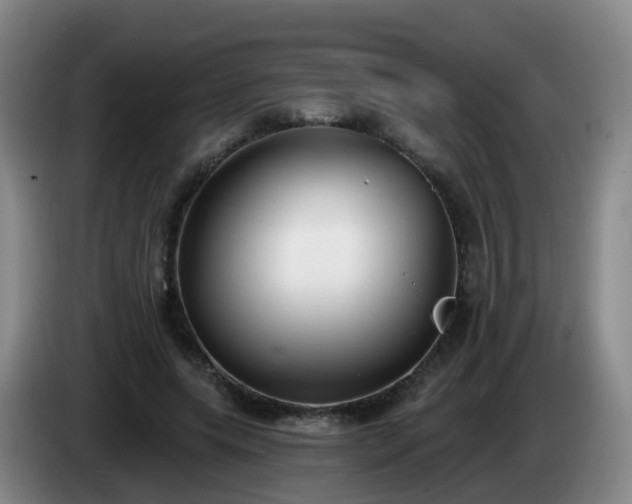 X0000085080639200703121704