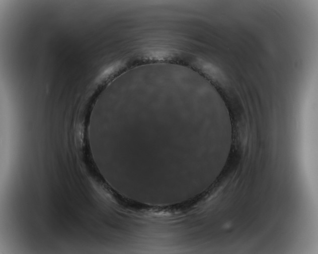 X0000085080640200703121704