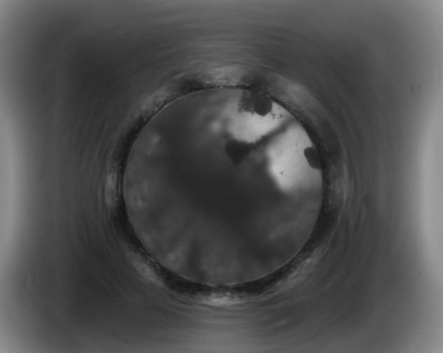 X0000085080641200703121704