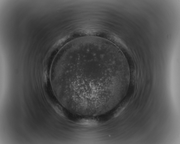 X0000085080644200703121704