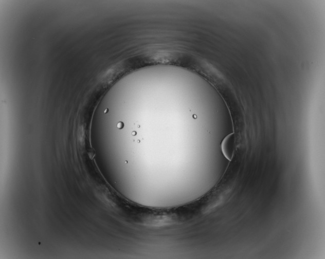 X0000085080646200703121704